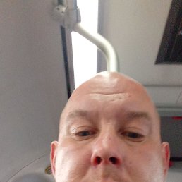 ������ ������, 41 ���, ������