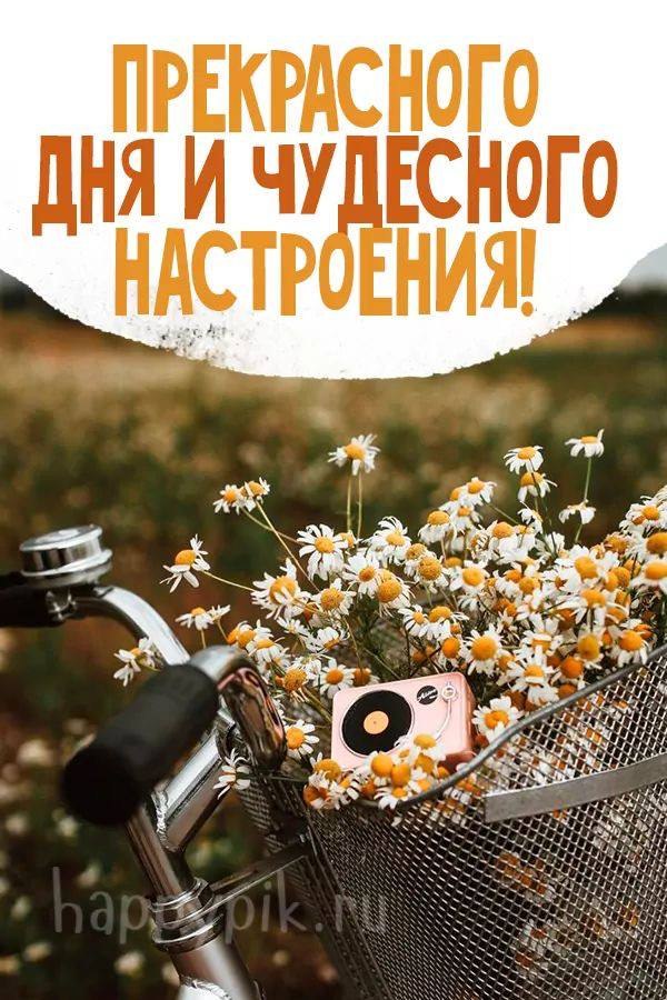  - 7  2025  14:11