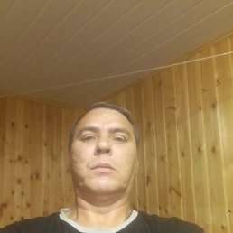 , 43, 