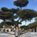 ���� ������, ���������, 47 ��� - ��������� 27 ����� 2026 � ������ ���� ����������