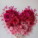 ���� ������, �����-��������� - ��������� 15 ������ 2024 � ������ ���� ����������