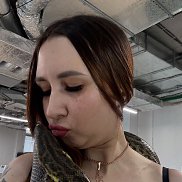 ������, 36 ���, �����������