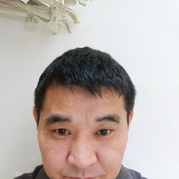 , 34, 