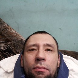 ���� �����, �����������, 44 ���� - ��������� 11 ������ 2026