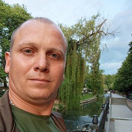 , 41, 