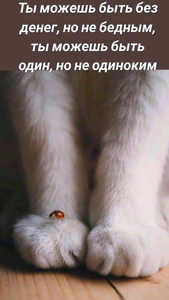   - 6  2024  00:25