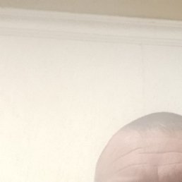 ����, �������, 43 ����