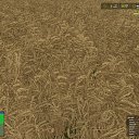   , -, 49  -  30  2025    