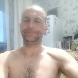 �����, 38 ���, ���������