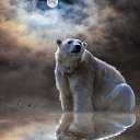 ���� �����, ������, 47 ��� - ��������� 9 ������ 2023