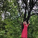 ���� �������, ������, 51 ��� - ��������� 28 ������� 2025 � ������ ���� ����������