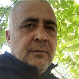 ����, �����-���������, 50 ���