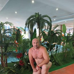 , 53, 