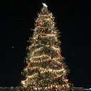 ���� ����, ������ - ��������� 13 ������ 2026 � ������ ������ ��������