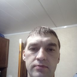  , , 37  -  27  2024