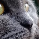 ���� �����, �������, 38 ��� - ��������� 18 ������ 2025 � ������ ������ ��������