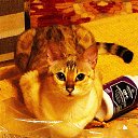 ���� Uegenia, ʸ���, 65 ��� - ��������� 6 ������� 2025 � ������ ������ ��������