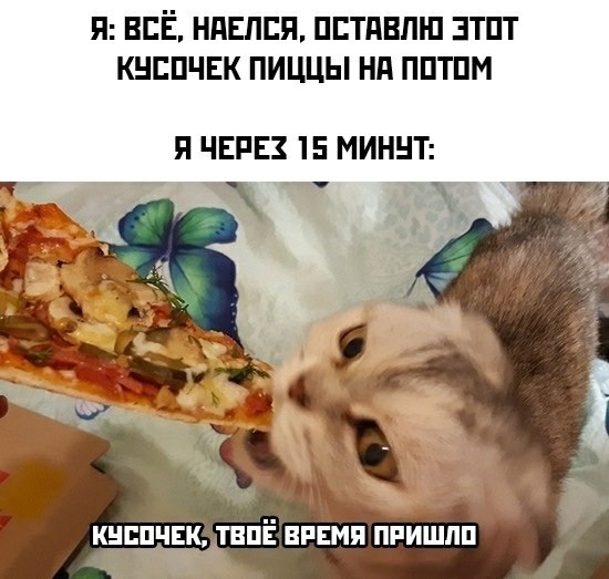 ЁПп - 26 октября 2025 в 17:44