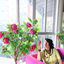, 59, 