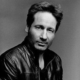 ������, 41 ���, ����������