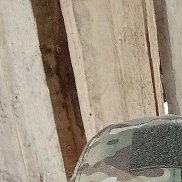 , 46 , 