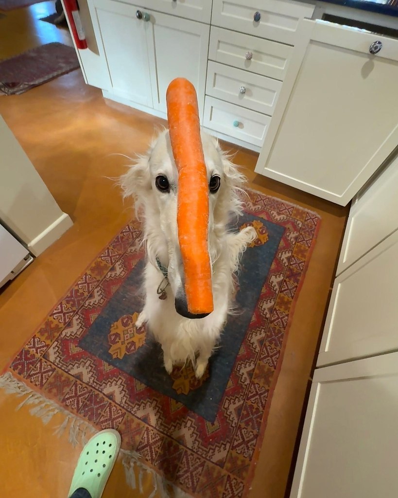 ,   - 3
