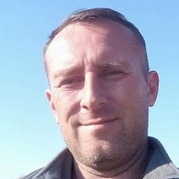 ����, �����-���������, 43 ����