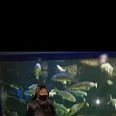 ���� ������, �����������, 51 ��� - ��������� 26 ������� 2025