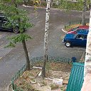 ���� ����, ������, 49 ��� - ��������� 12 ������� 2025 � ������ ���� ����������