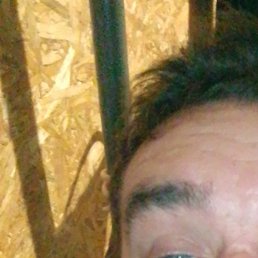 �������, ����, 40 ���