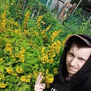  , 35 , 