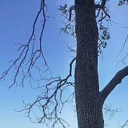 ����, 30 ���, ������