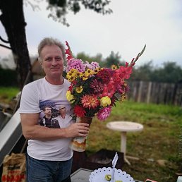 , 57, 