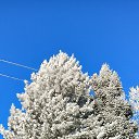 ���� ����, �����, 49 ��� - ��������� 28 ������ 2023 � ������ ���� ����������