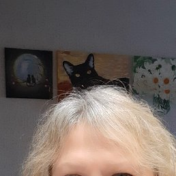 ���� ��������, ������������, 60 ��� - ��������� 16 ����� 2026