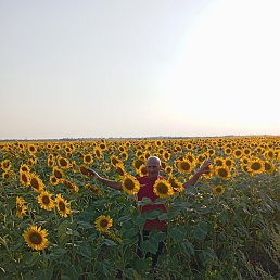 , 58, 