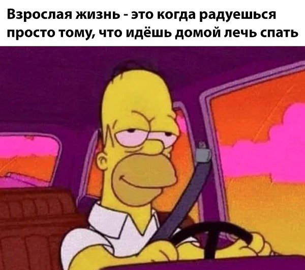 ���� - 20 ���� 2025 � 23:16