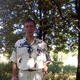 , 53,  ,  