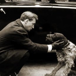 ��������, �����-���������, 54 ����