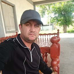 , 40, -