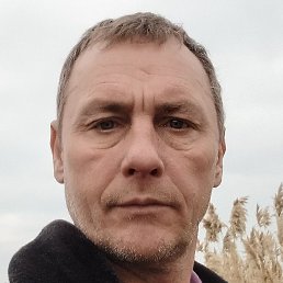 ������� ������, ����������, 49 ���