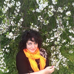 �����, ������, 60 ���