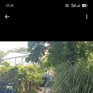 ���������, 54 ����, ����