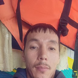 , 34, 