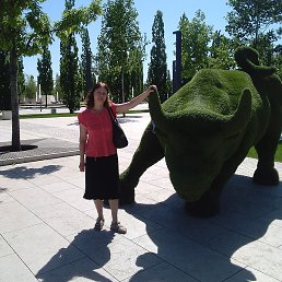 Olga, ���������