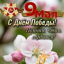 ���� ����, ����������, 40 ��� - ��������� 28 ������� 2025 � ������ ���� ����������