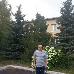 ������ �������, 42 ����, ������-��-����