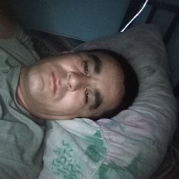 , 37, 