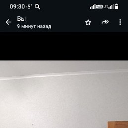 , 41, 