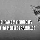 ���� �����, ������������ - ��������� 11 ������� 2025 � ������ ������ ��������